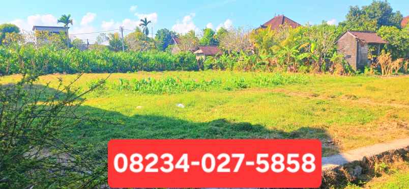 disewakan tanah darmasaba badung bali