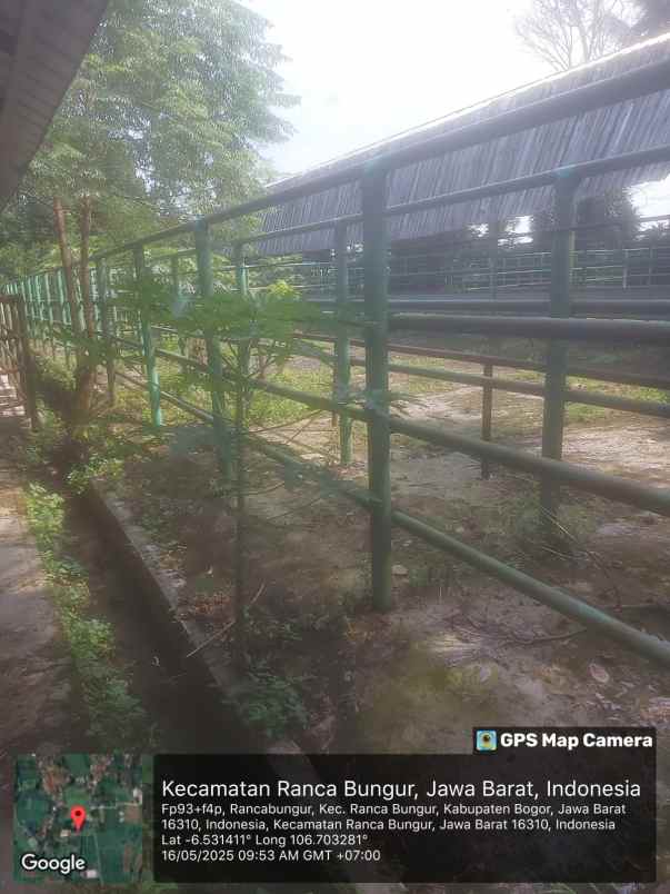jual kandang sapi di bogor