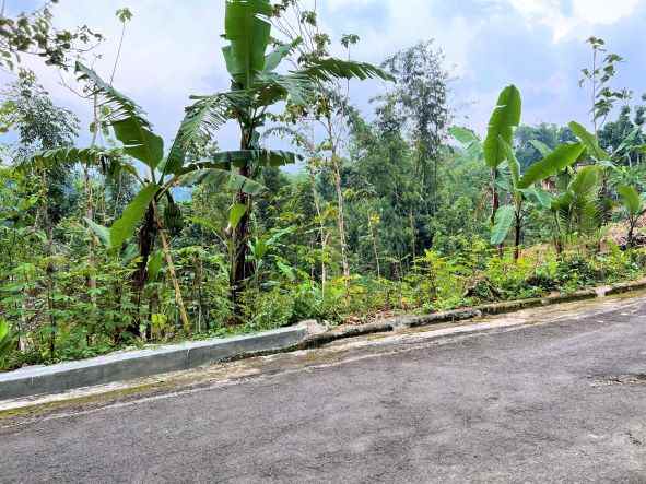 jual tanah asri 600m2 karangpandan karanganyar