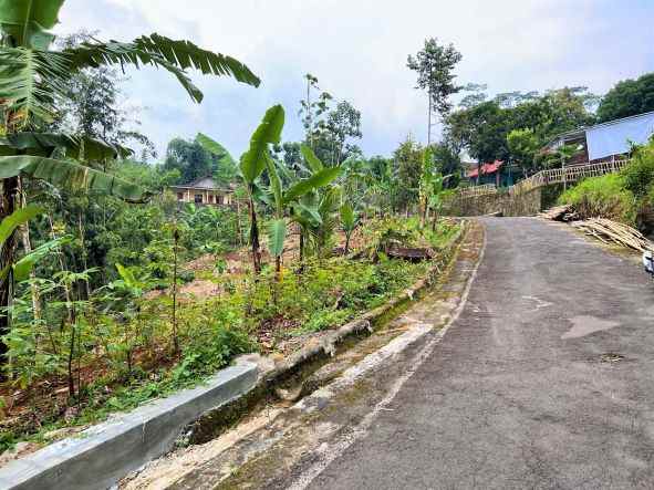 jual tanah asri 600m2 karangpandan karanganyar