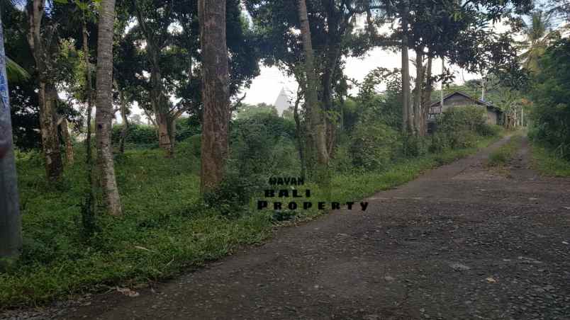 jual tanah dekat pantai gerokgak singaraja