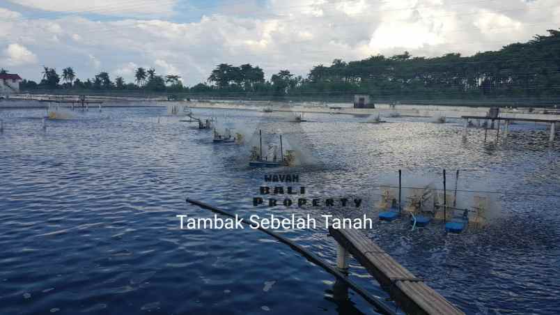 jual tanah dekat pantai gerokgak singaraja