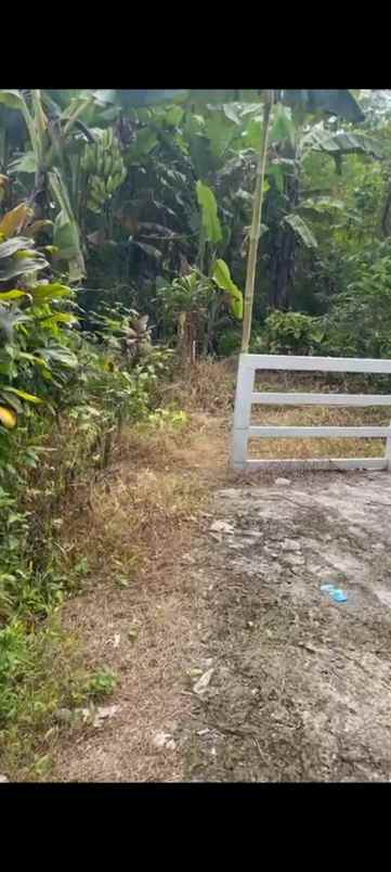 jual villa 4 km dari univ ipb bogor