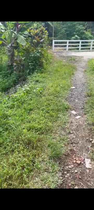 jual villa 4 km dari univ ipb bogor