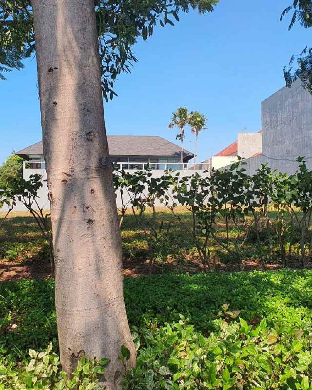 kavling pakuwon city strategis luar cluster boulevard