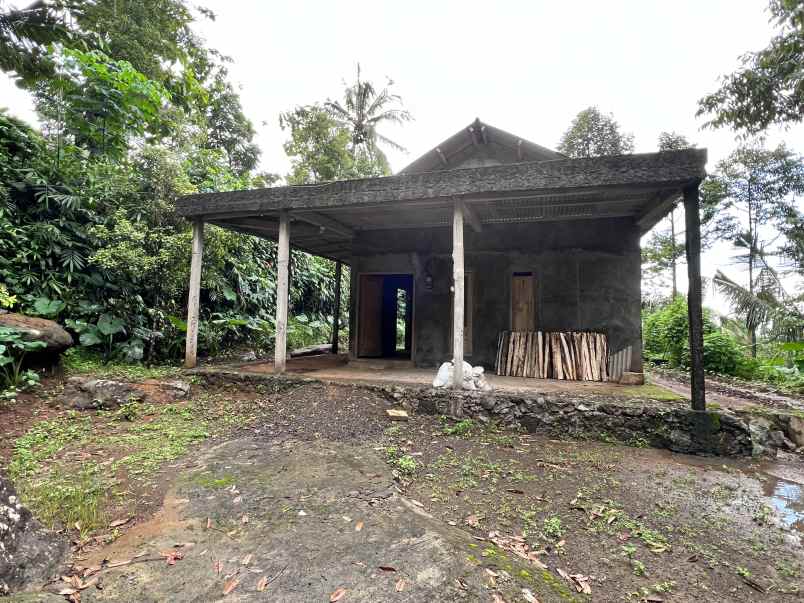 kebun durian bonus rumah hanya 275 juta kemuning