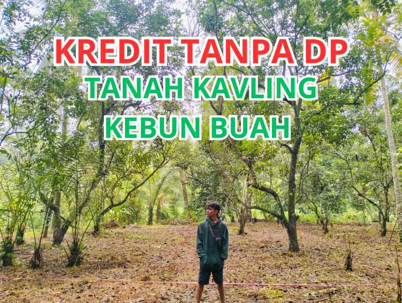 kredit tanah tanpa dp