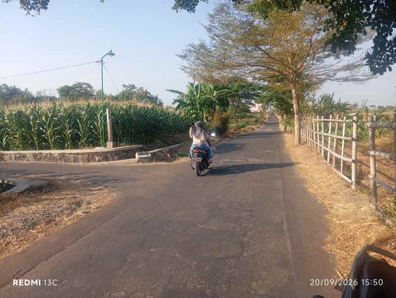 lahan perumahan 1 1ha lokasi klaten strategis 550rb m2