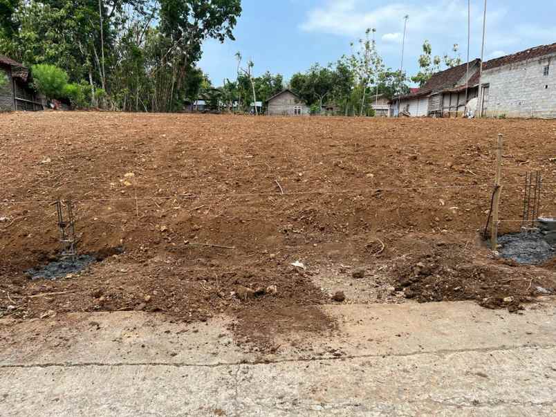 pekarangan datar dekat pasar sambirejo sragen