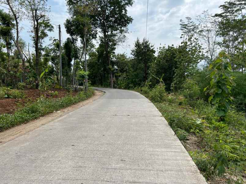 pekarangan datar dekat pasar sambirejo sragen