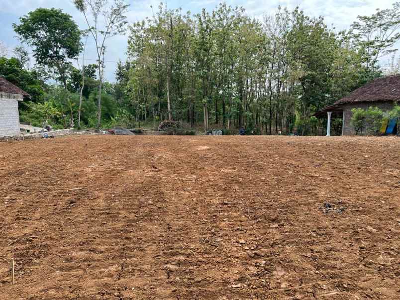 pekarangan datar dekat pasar sambirejo sragen