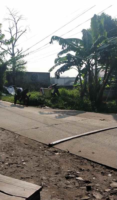 rumah cantik cuma 550 juta