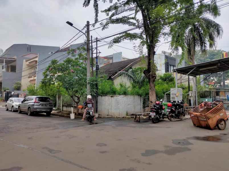 rumah kelapa nias kelapa gading