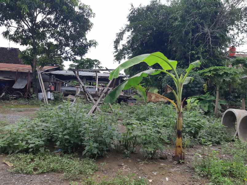 rumah modern mewah dan kokoh di purwomartani