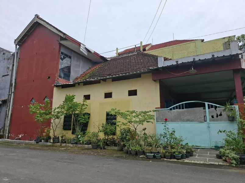 rumah pojok di griya mangli indah jember