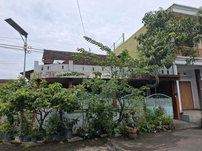 rumah pojok di griya mangli indah jember