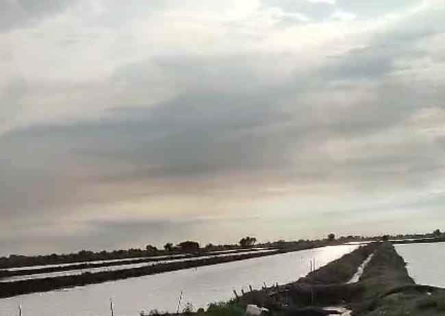 tambak strategis dekat jalan pantura kiajaran kulon