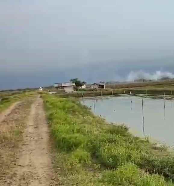 tambak strategis dekat jalan pantura kiajaran kulon