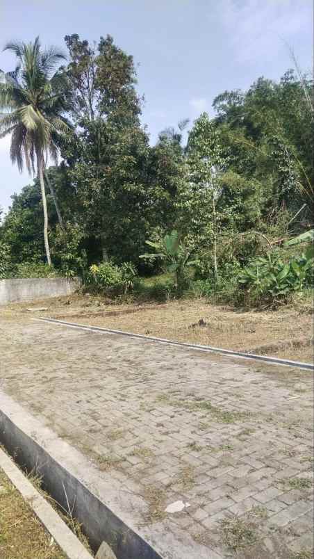 tanah ciapus bogor murah shm siap bangun