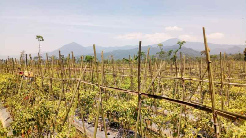 tanah daerah daerah ciater subang view bagus