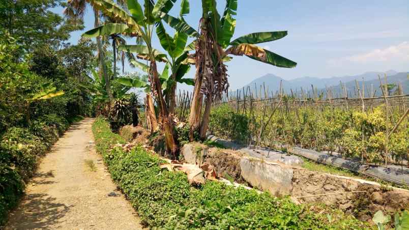 tanah daerah daerah ciater subang view bagus