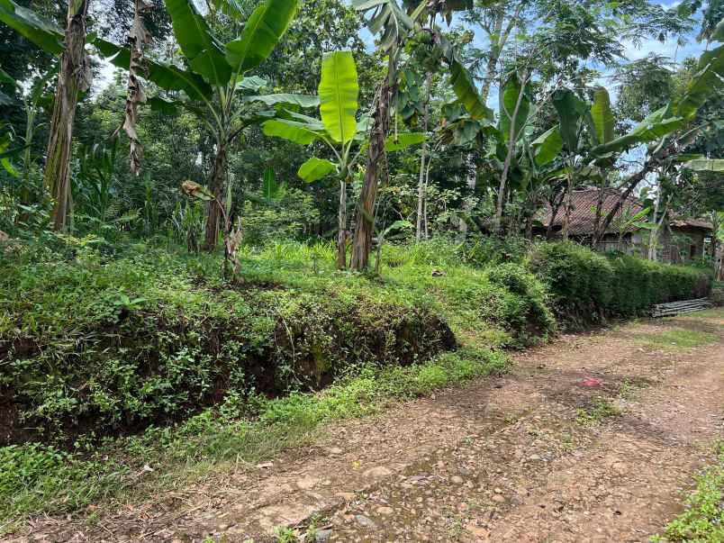 tanah datar 3600m udara sejuk karanganyar