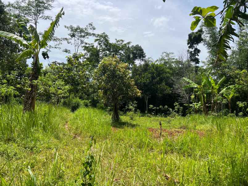 tanah datar 3600m udara sejuk karanganyar