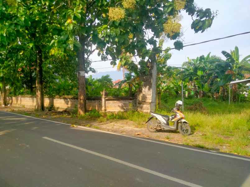 tanah di labuhan dalam bandar lampung