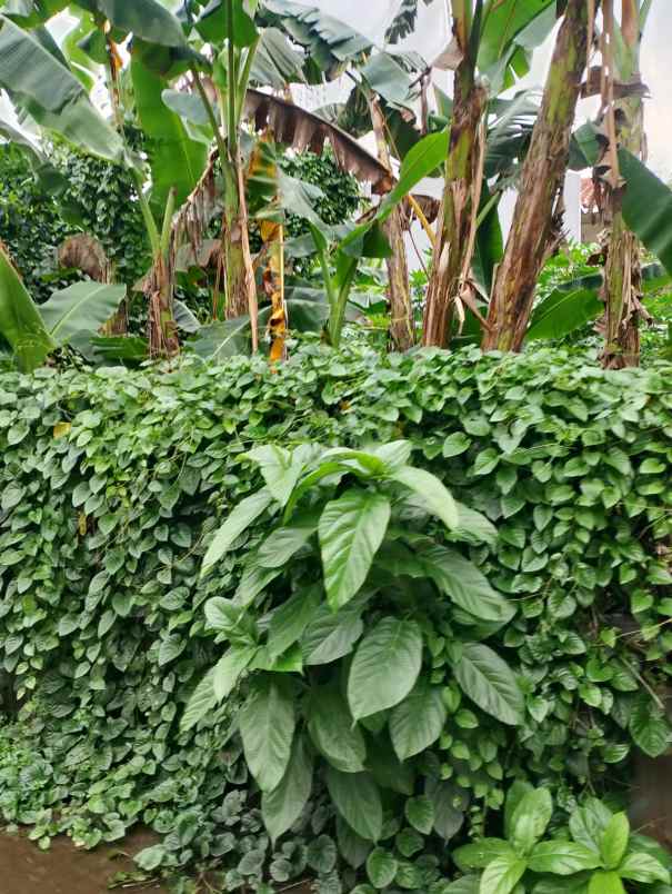 tanah dijual jatiwaringin pondok gede bekasi