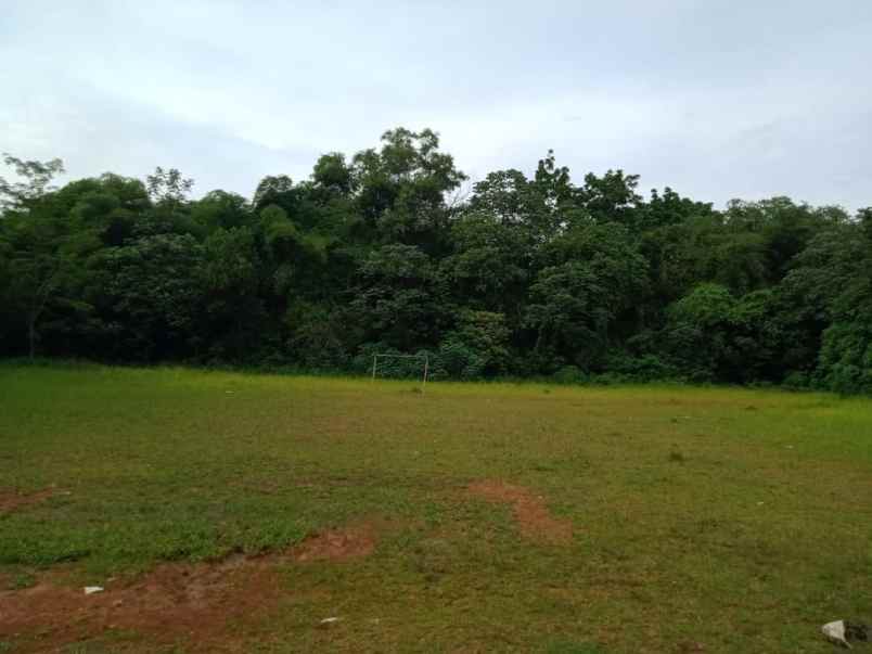 tanah dijual jl raya serpong