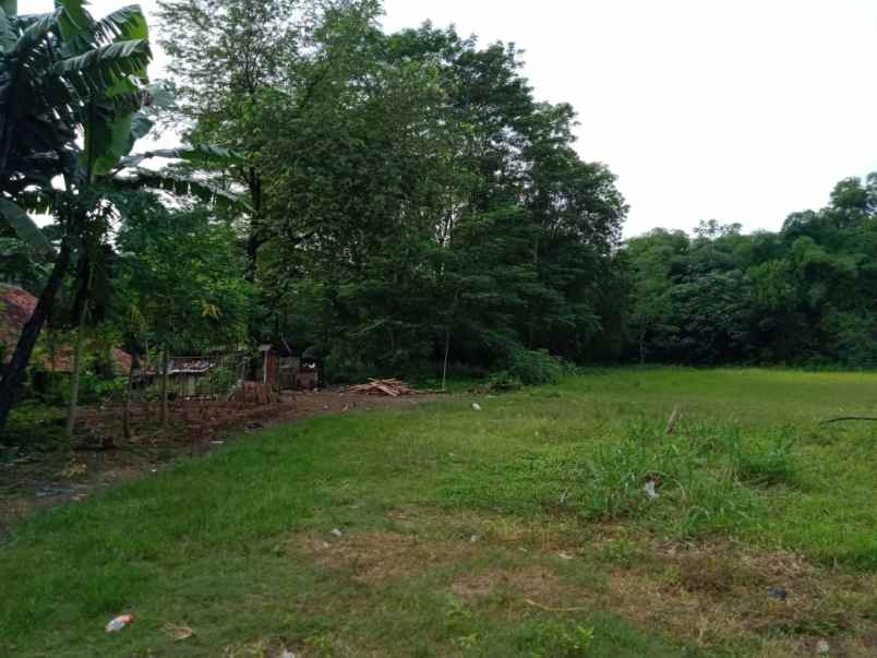 tanah dijual jl raya serpong