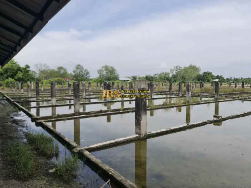 tanah ex tambak dijual di jalan kebun sayur percut