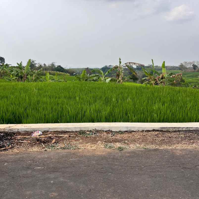 tanah istimewa view gunung 1770m2 karanganyar