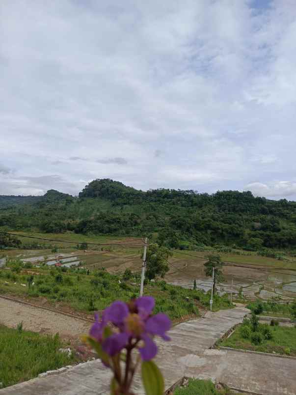 tanah kavling murah dalam area wisata