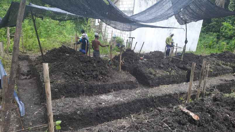 tanah kavling murah shm di bangunjiwo