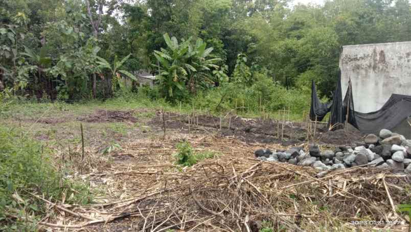 tanah kavling murah shm di bangunjiwo