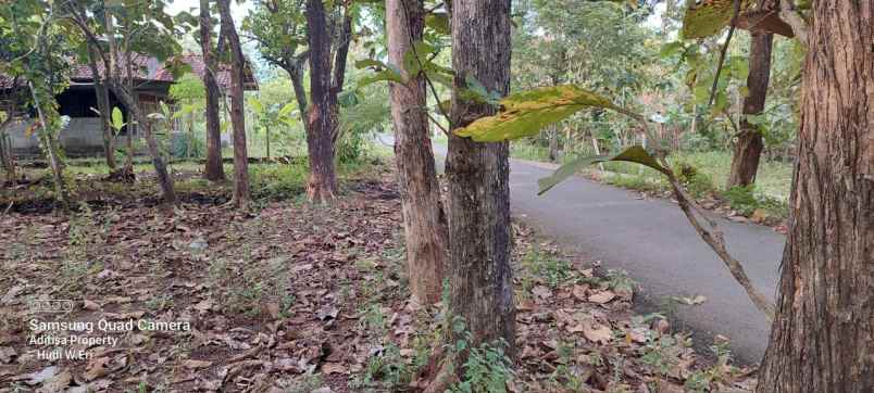 tanah kavling rumah villa yogyakarta