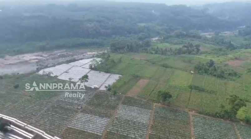 tanah kebun 3hektar di rancabungur bogor uun