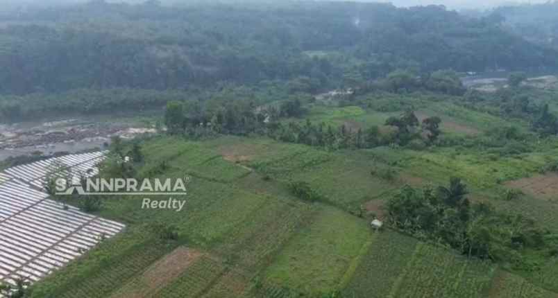 tanah kebun 3hektar di rancabungur bogor uun