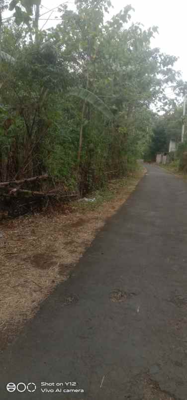 tanah kebun murah rata dan subur