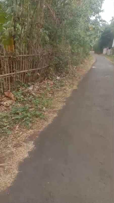 tanah kebun murah rata dan subur