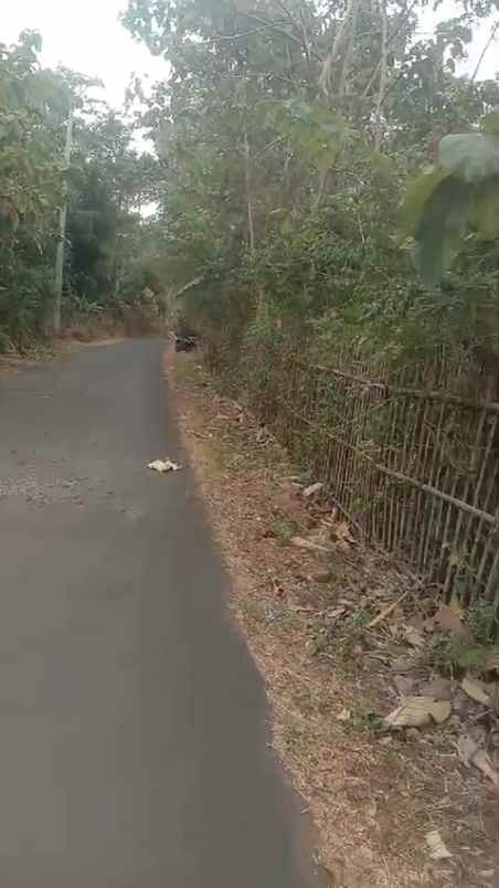 tanah kebun murah rata dan subur