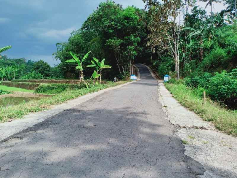 tanah kemuning ngargoyoso