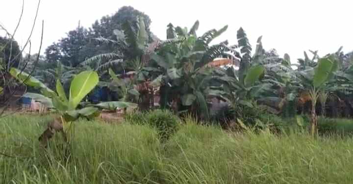 tanah kosong bebas banjir ciketing mustikajaya bekasi