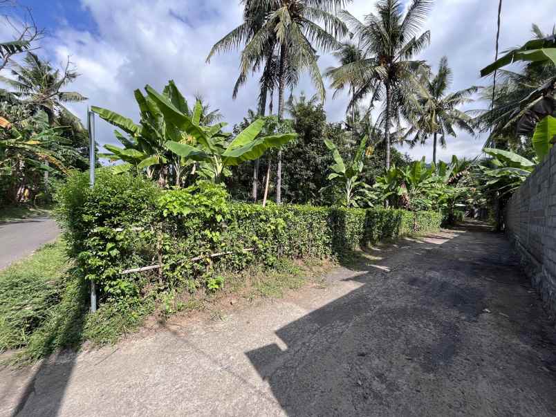 tanah murah dekat pantai lovina buleleng bali