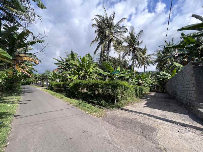 tanah murah dekat pantai lovina buleleng bali