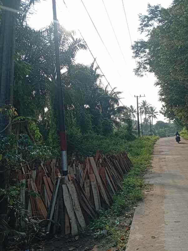 tanah murah nempel jl desa