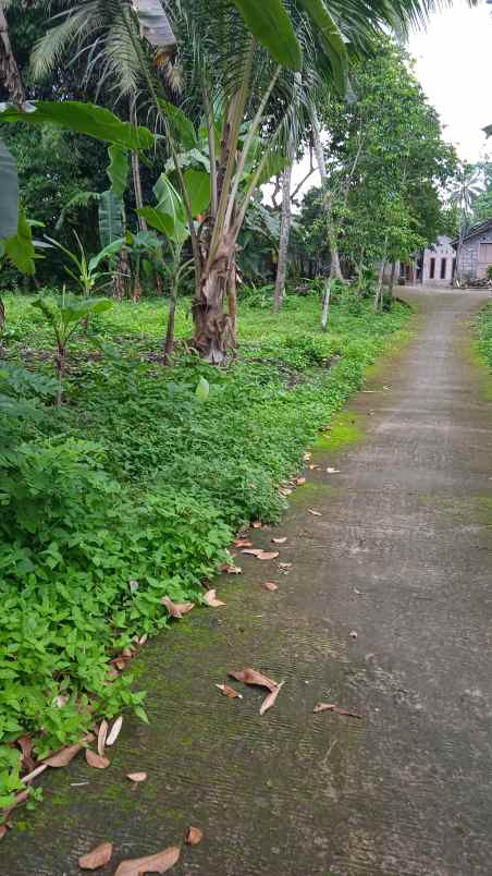 tanah murah strategis di sleman utara