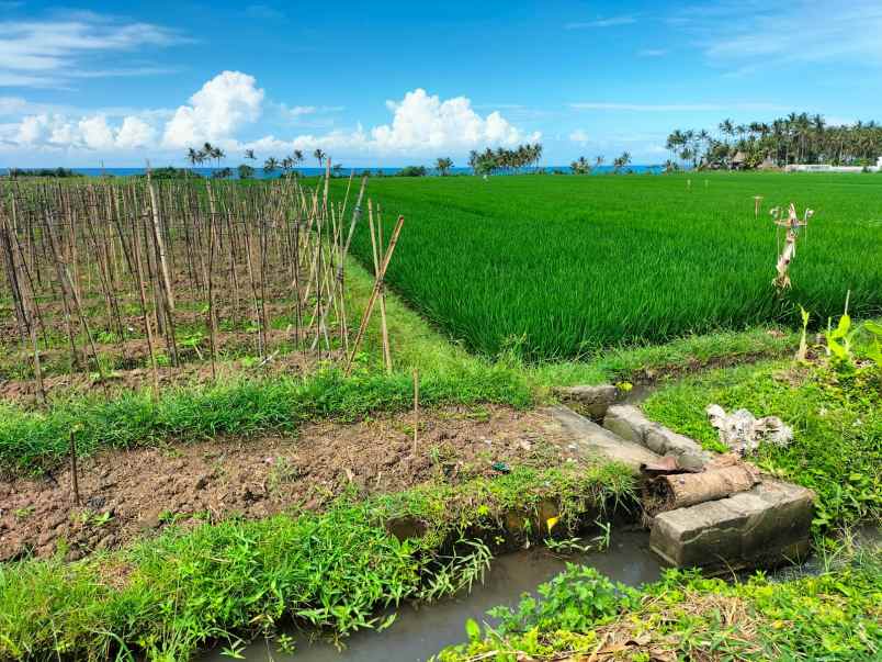 tanah pantai pasut kerambitan