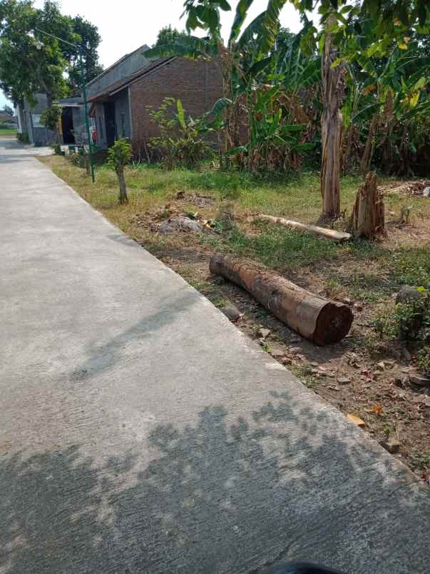 tanah pekarangan dekat bandara adisumarmo solo